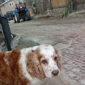 Meet your Posher, Aspen